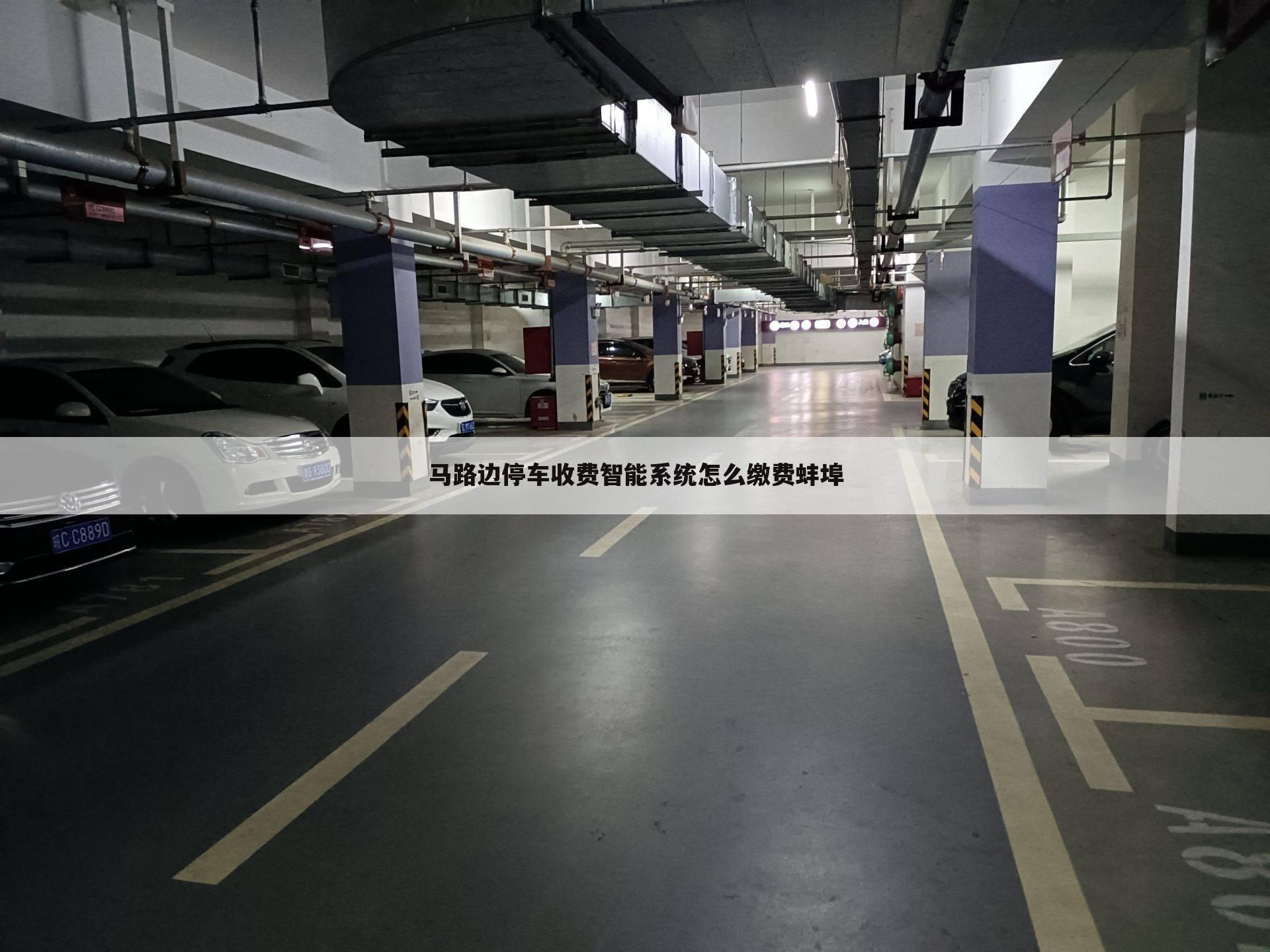 马路边停车收费智能系统怎么缴费蚌埠