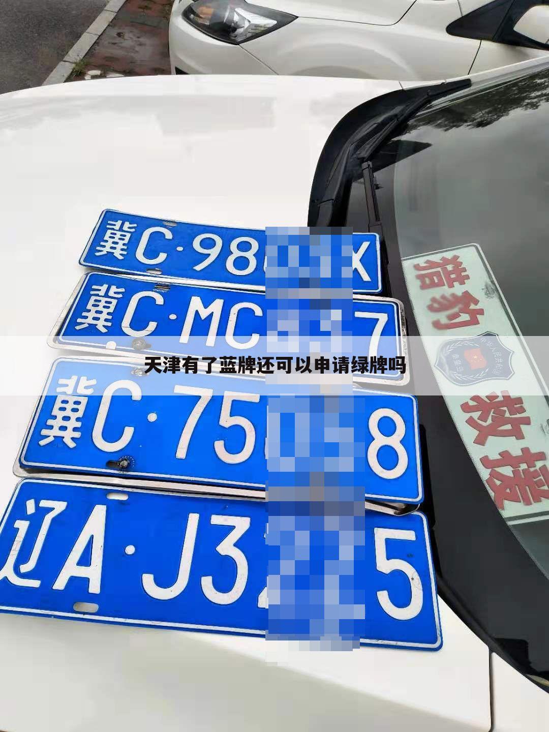 天津有了蓝牌还可以申请绿牌吗
