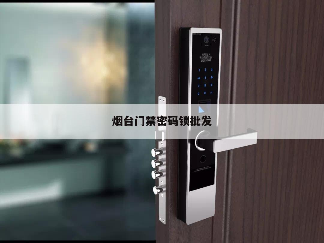 烟台门禁密码锁批发