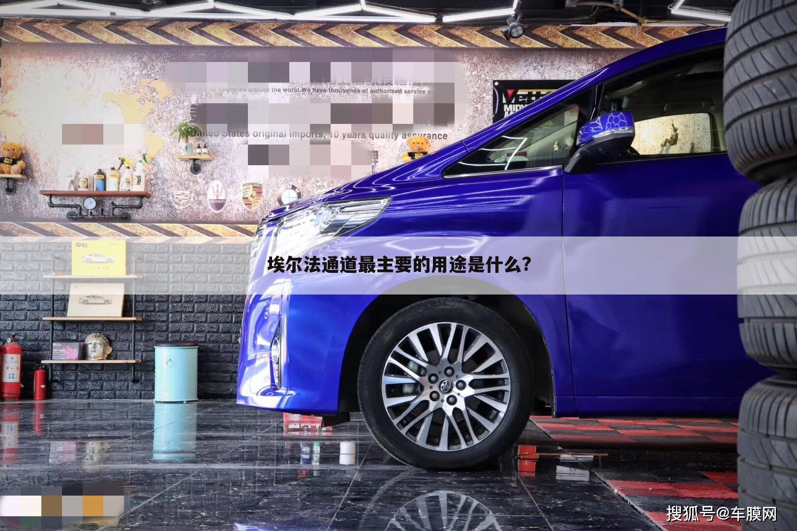 埃尔法通道最主要的用途是什么?