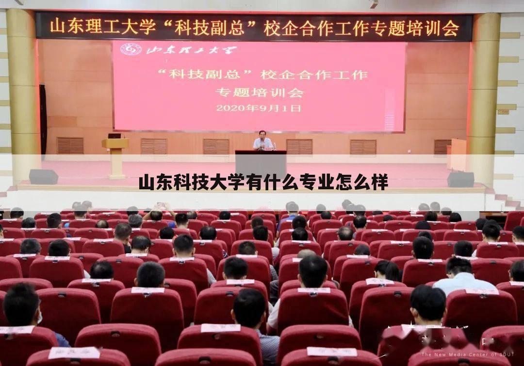 山东科技大学有什么专业怎么样