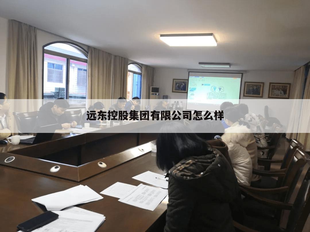 远东控股集团有限公司怎么样
