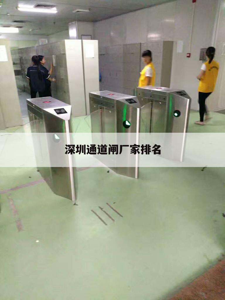 深圳通道闸厂家排名