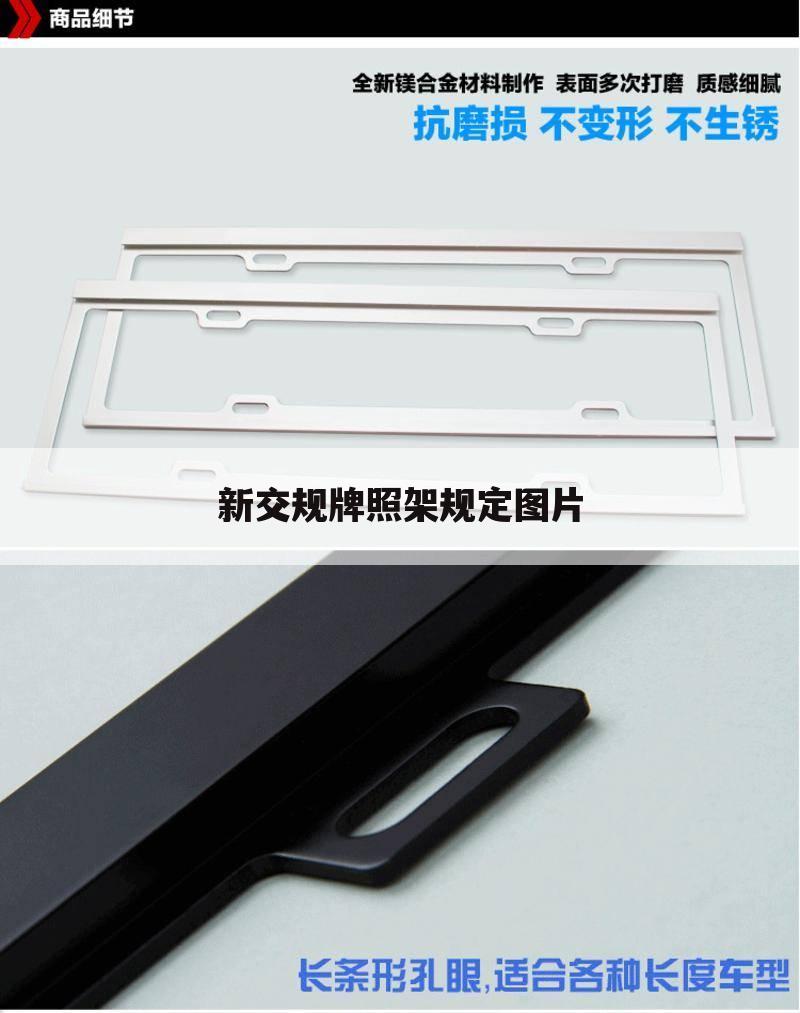 新交规牌照架规定图片