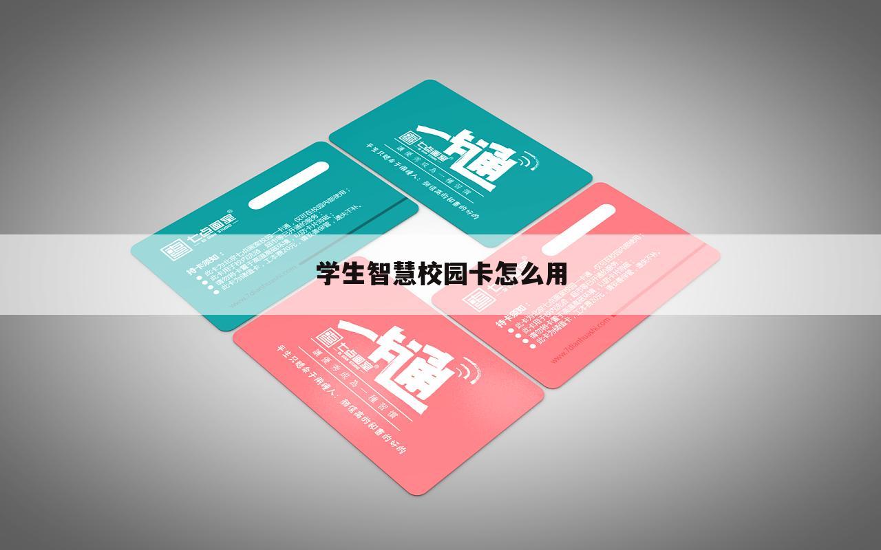 学生智慧校园卡怎么用