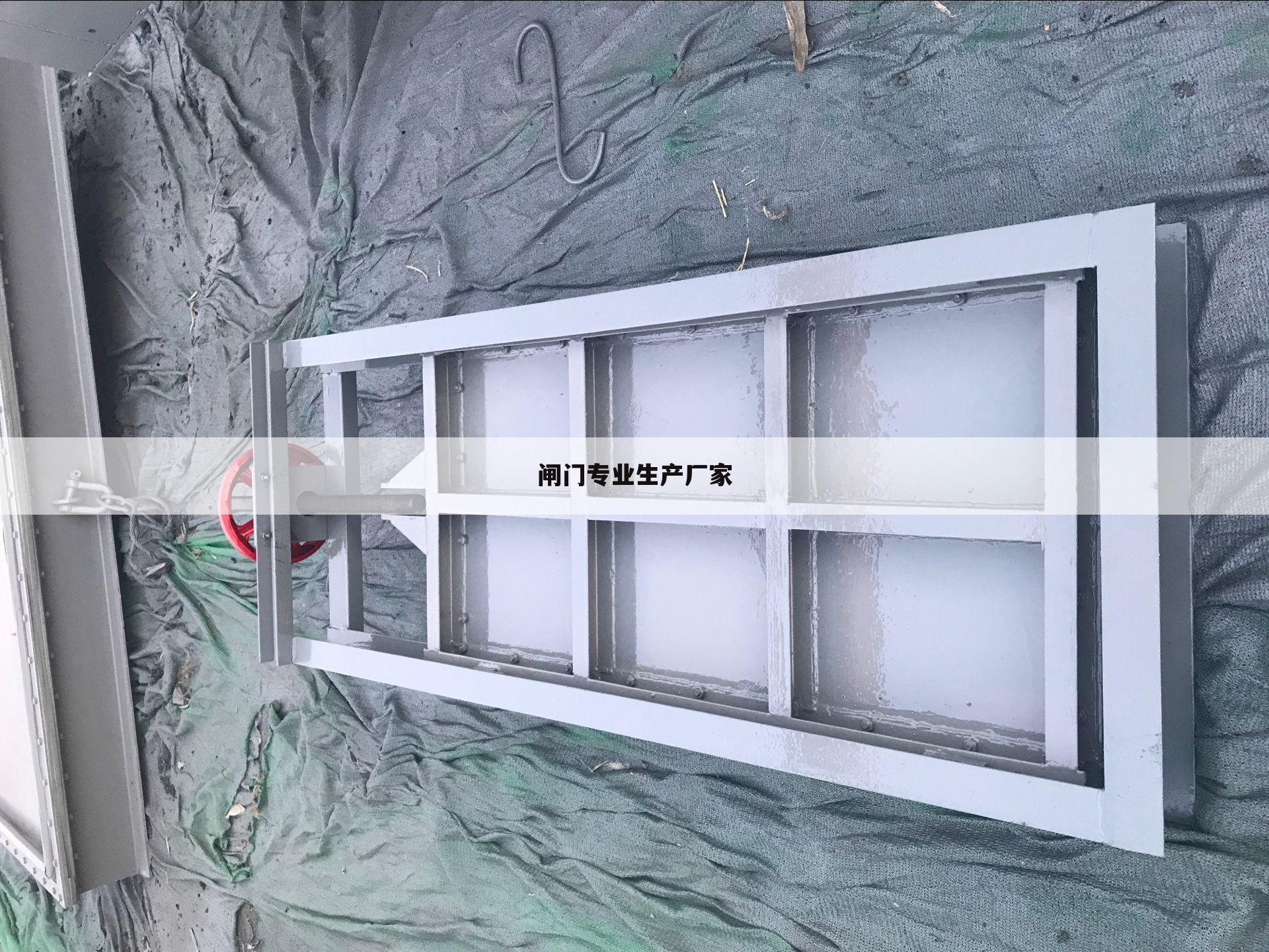 闸门专业生产厂家