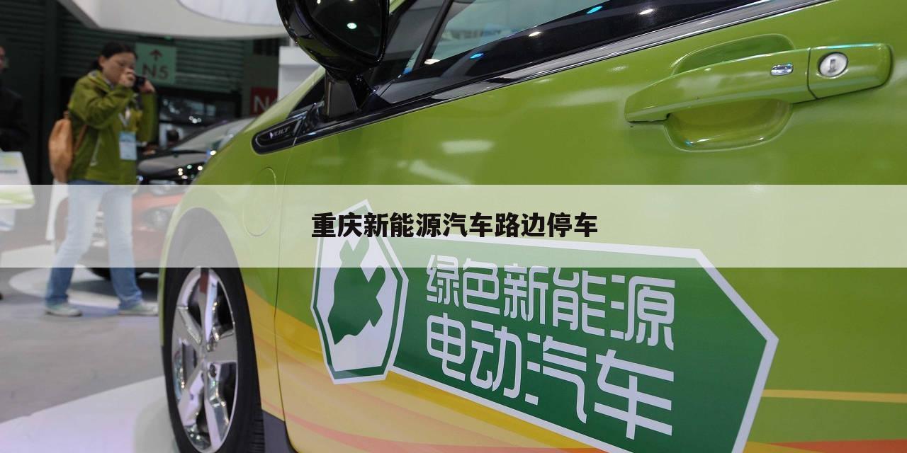 重庆新能源汽车路边停车