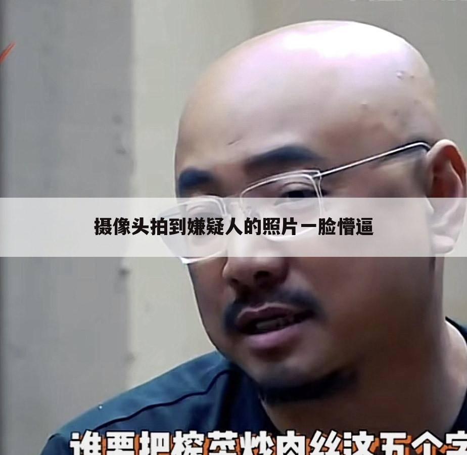 摄像头拍到嫌疑人的照片一脸懵逼