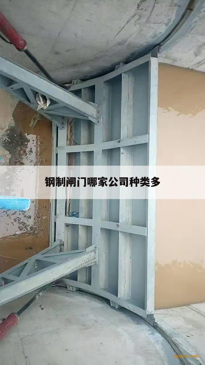 钢制闸门哪家公司种类多