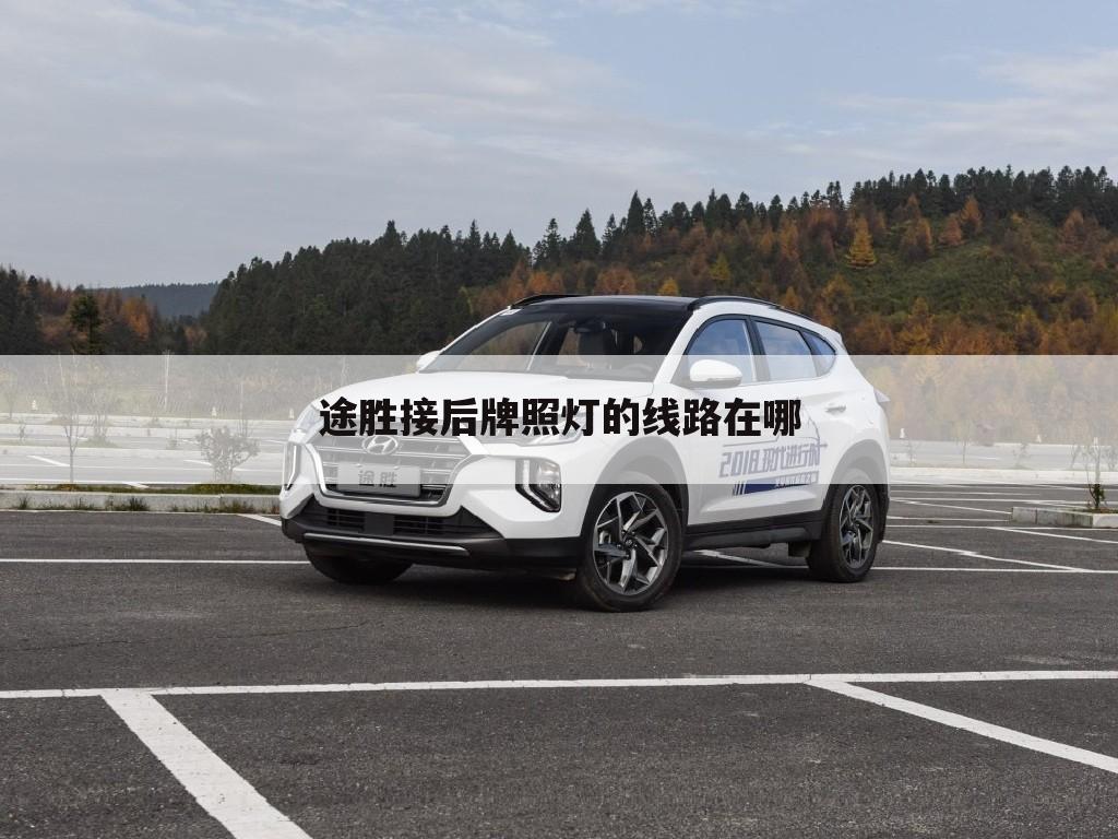 途胜接后牌照灯的线路在哪