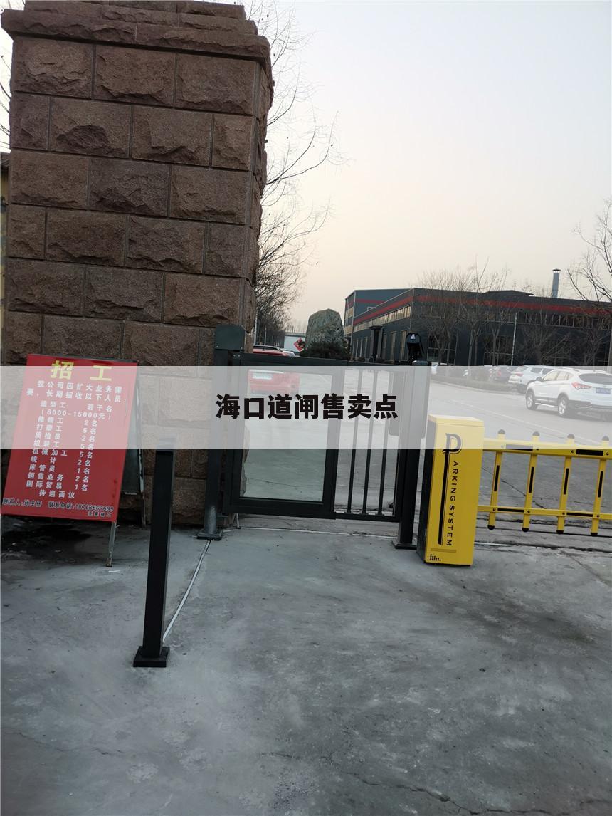 海口道闸售卖点