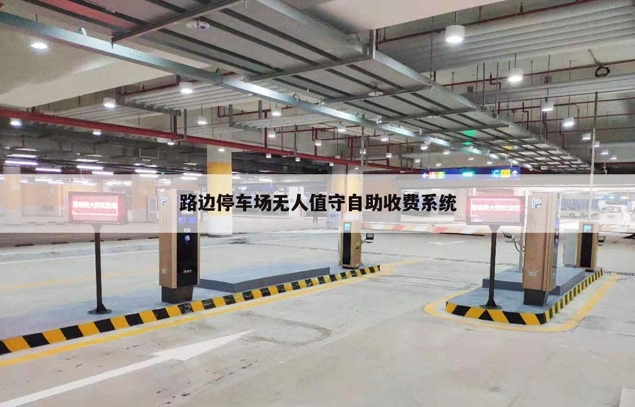 路边停车场无人值守自助收费系统