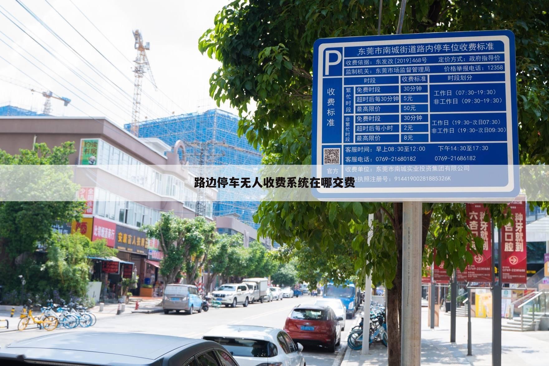 路边停车无人收费系统在哪交费