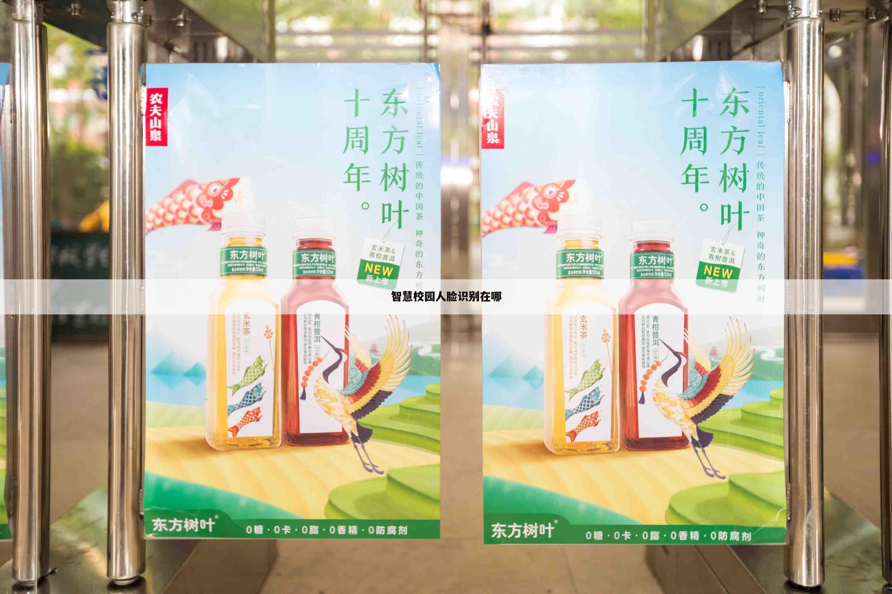 智慧校园人脸识别在哪