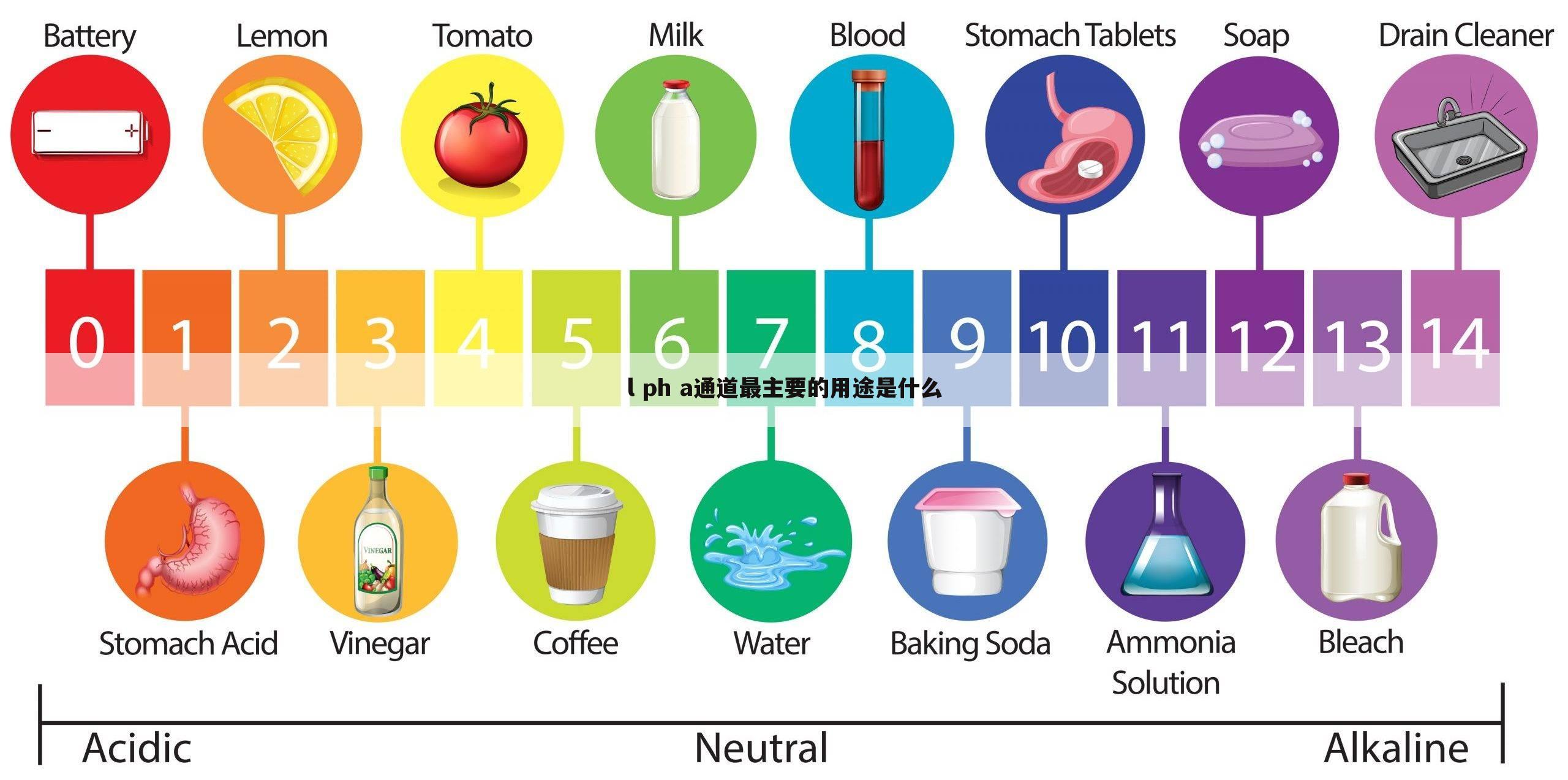 l ph a通道最主要的用途是什么