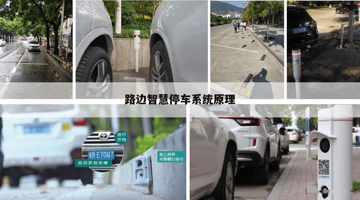 路边智慧停车系统原理
