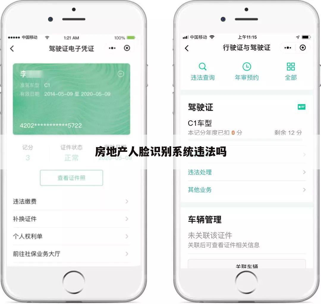 房地产人脸识别系统违法吗