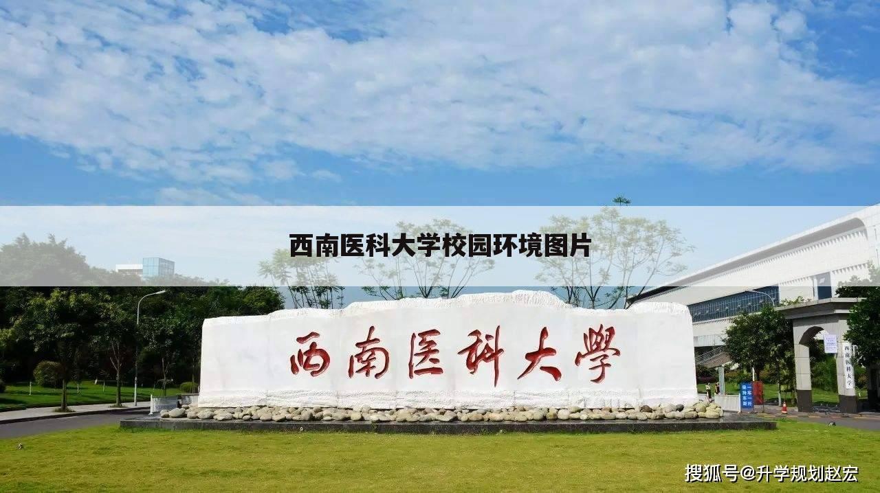 西南医科大学校园环境图片