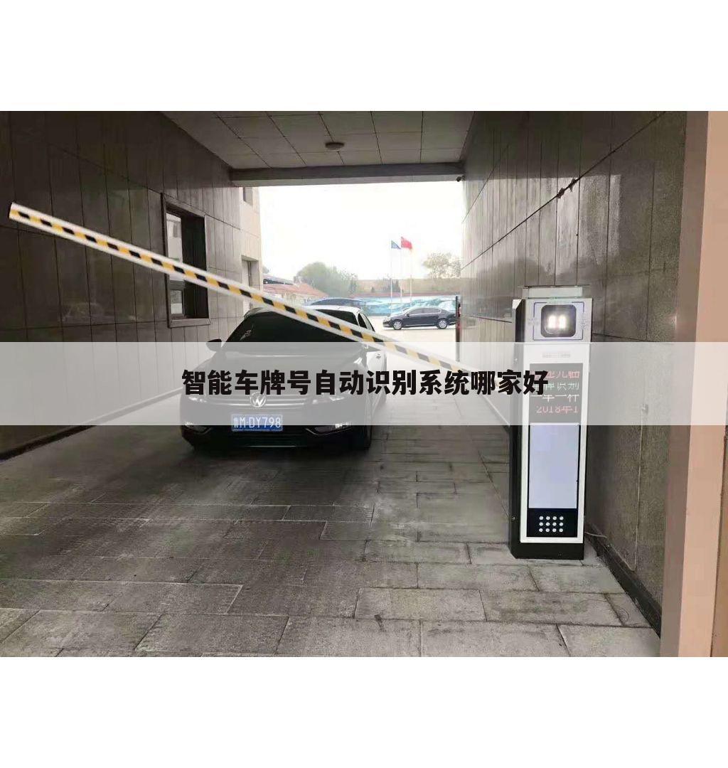 智能车牌号自动识别系统哪家好