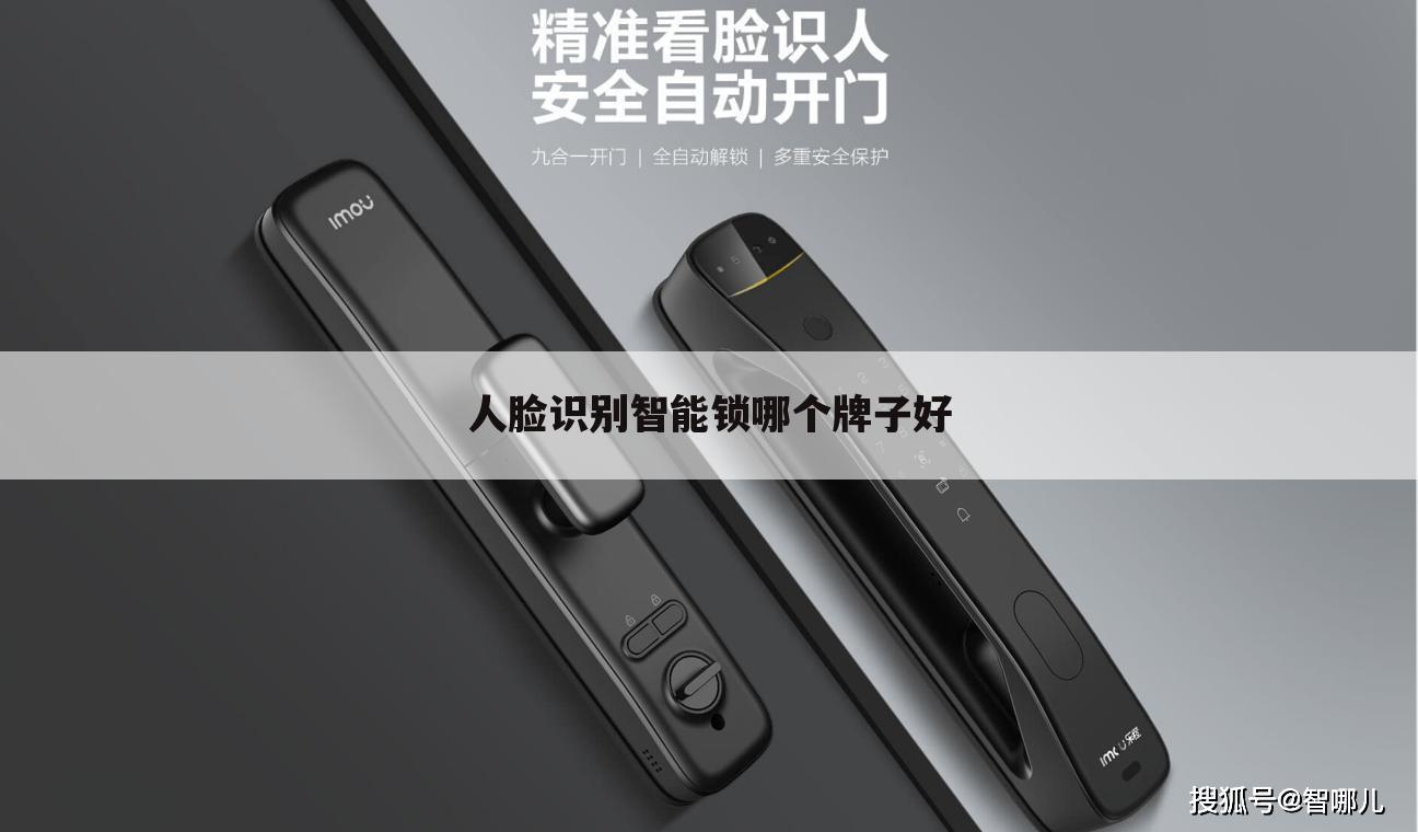 人脸识别智能锁哪个牌子好