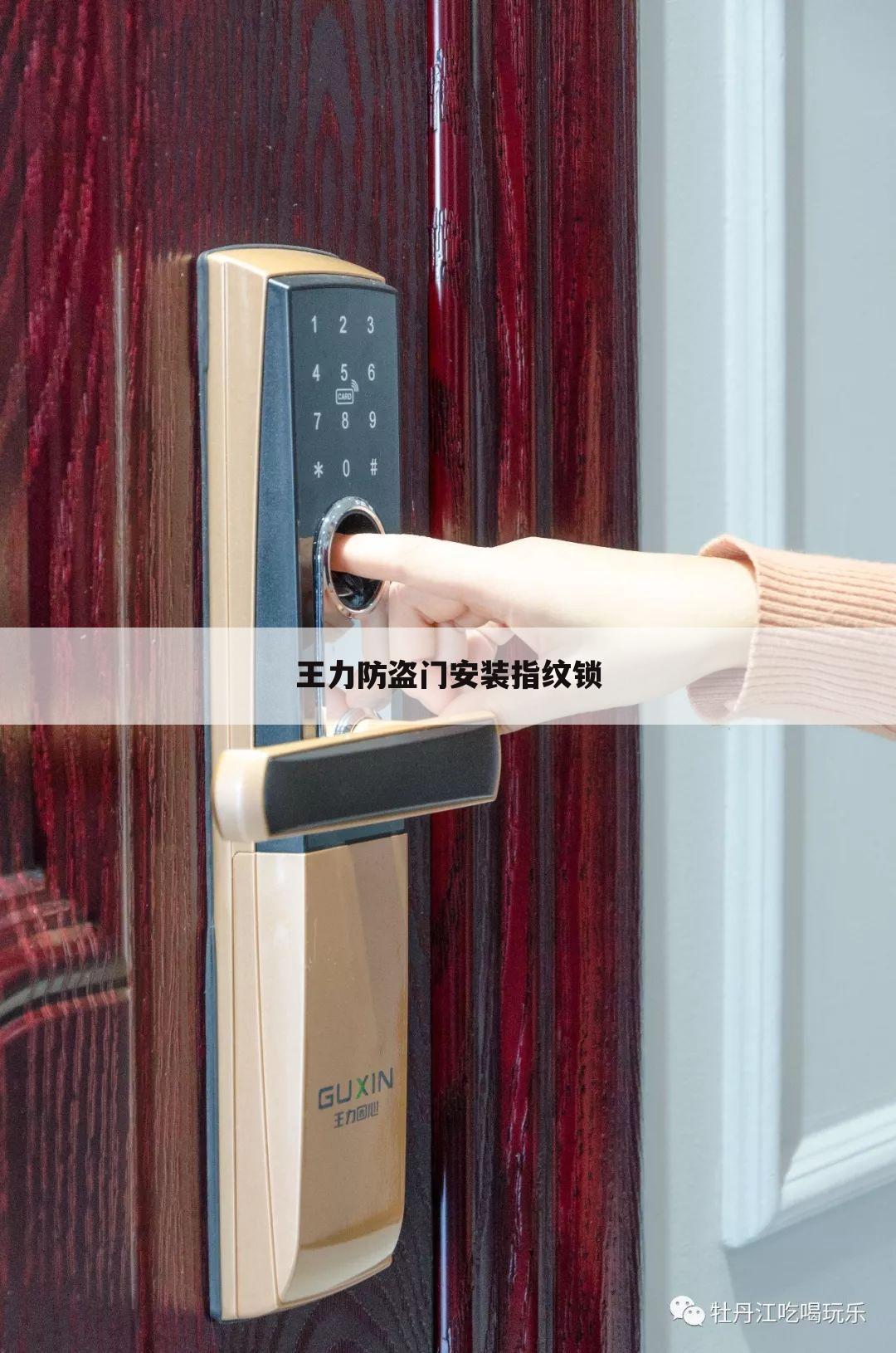王力防盗门安装指纹锁