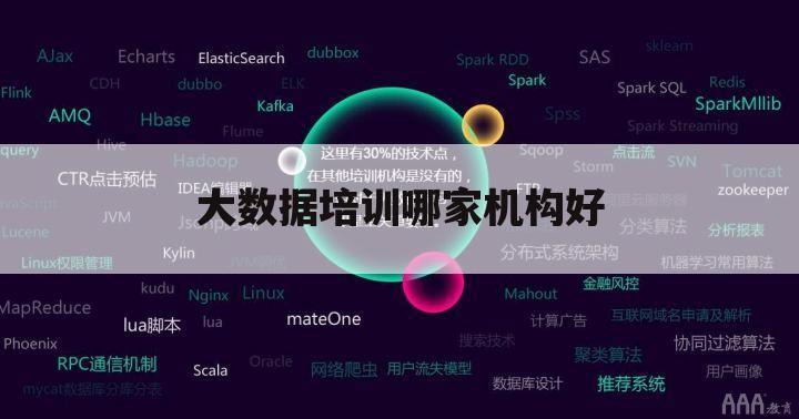 大数据培训哪家机构好