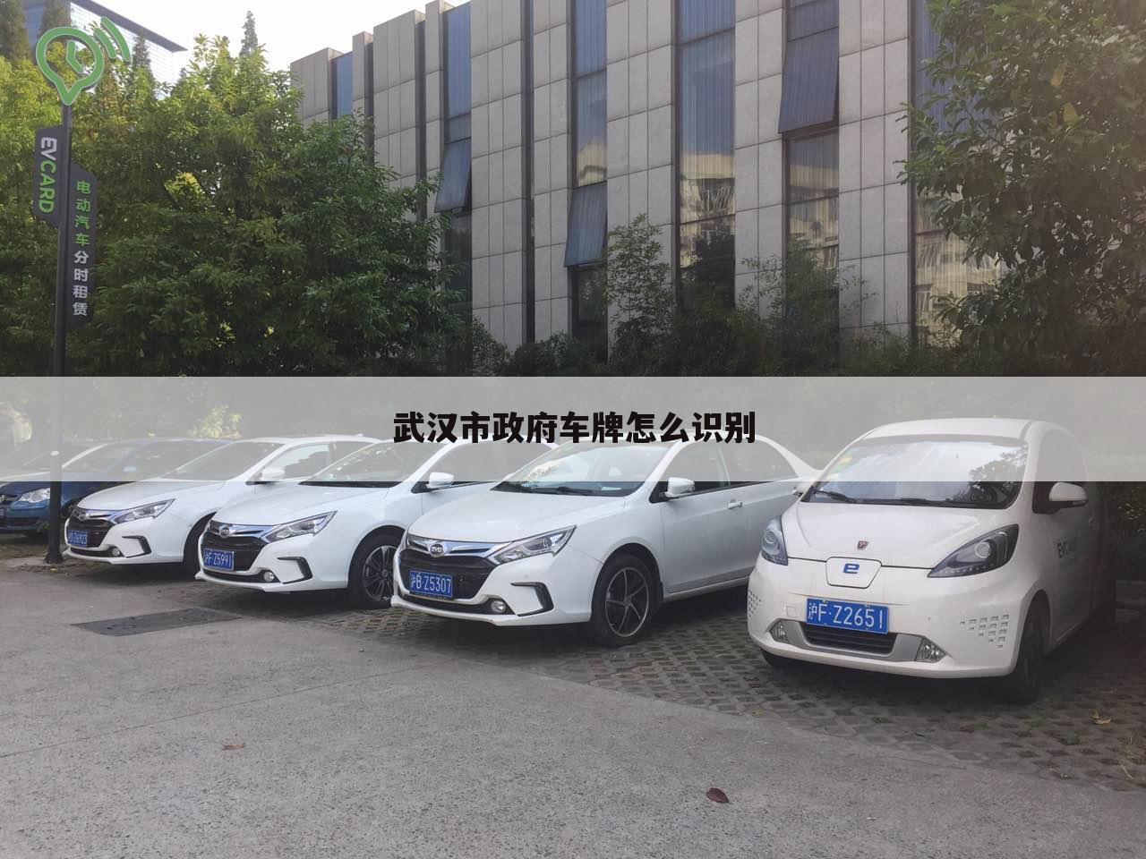 武汉市政府车牌怎么识别
