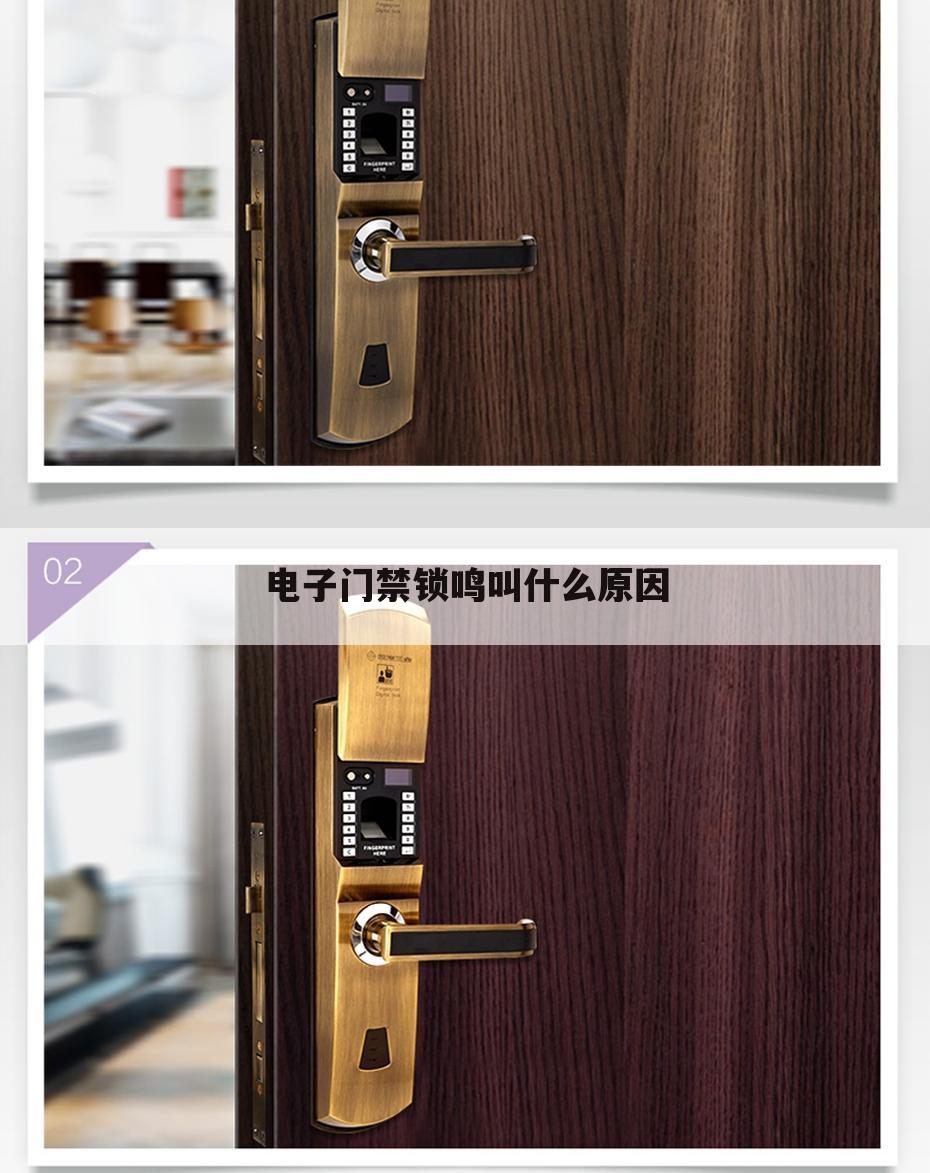 电子门禁锁鸣叫什么原因