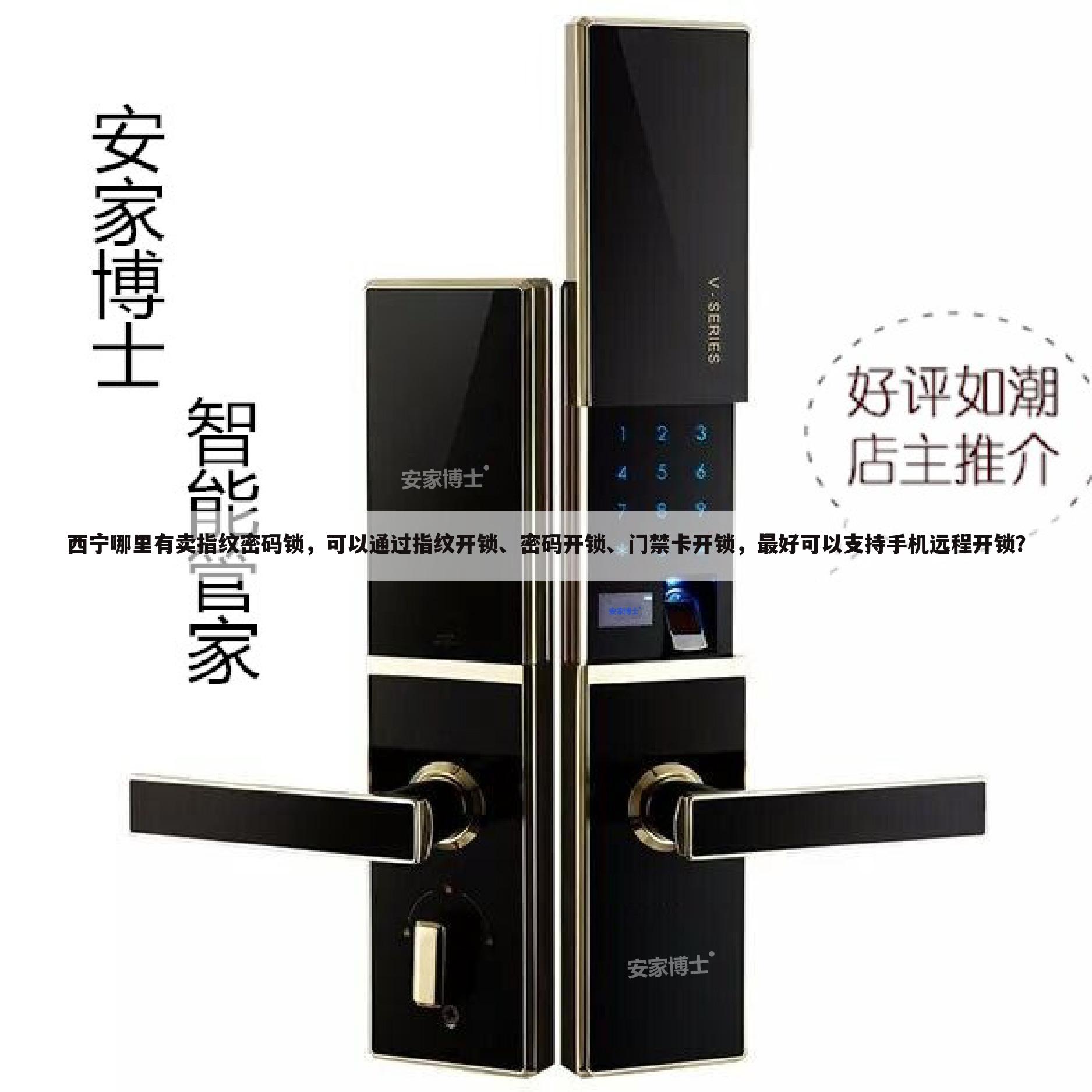 西宁哪里有卖指纹密码锁,可以通过指纹开锁、密码开锁、门禁卡开锁,最好可以支持手机远程开锁?