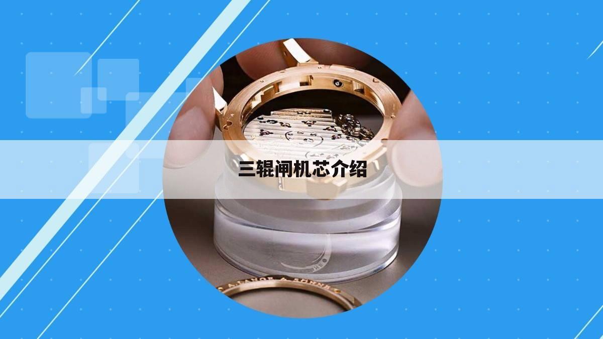 三辊闸机芯介绍