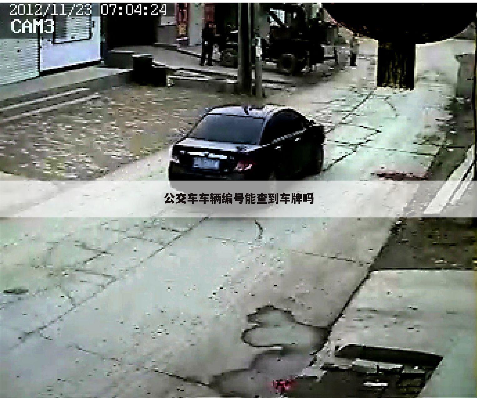 公交车车辆编号能查到车牌吗