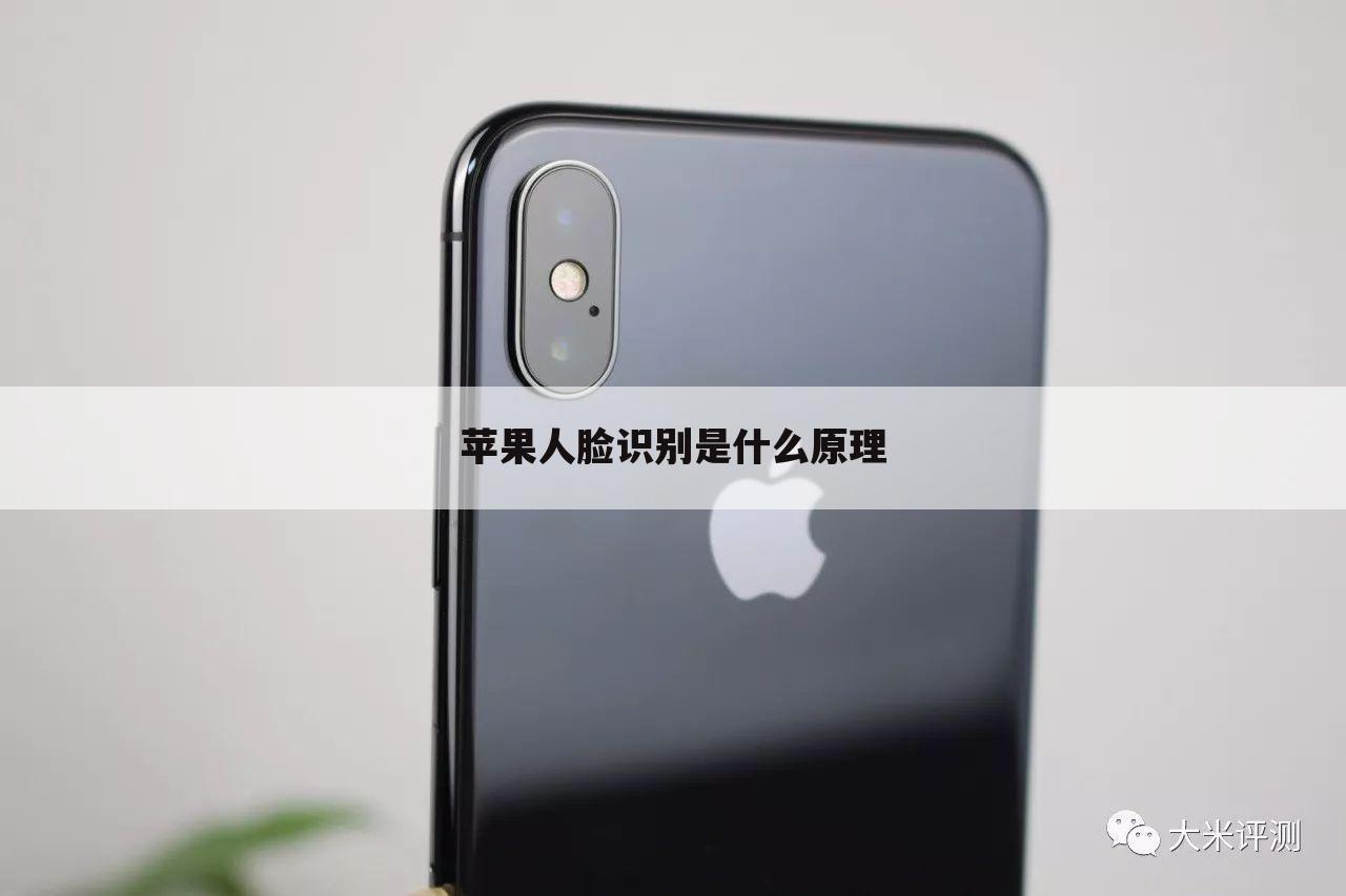 苹果人脸识别是什么原理