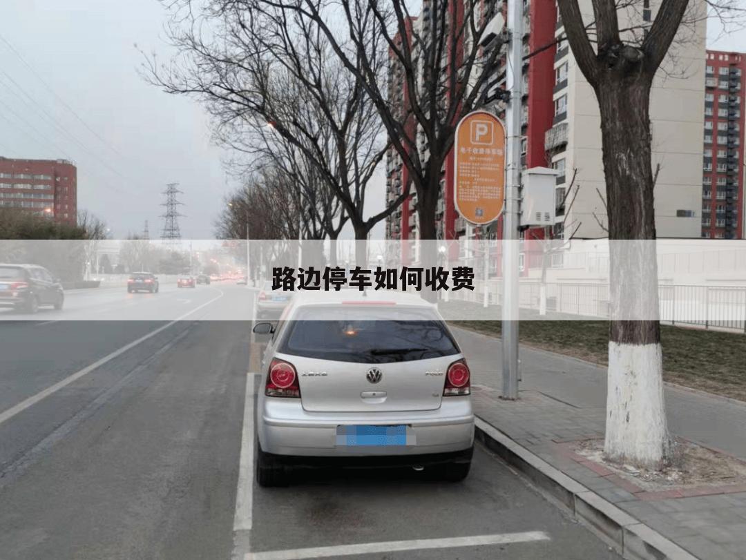 路边停车如何收费