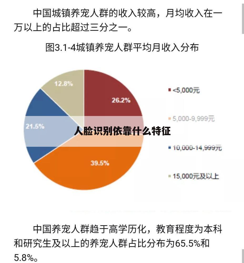 人脸识别依靠什么特征