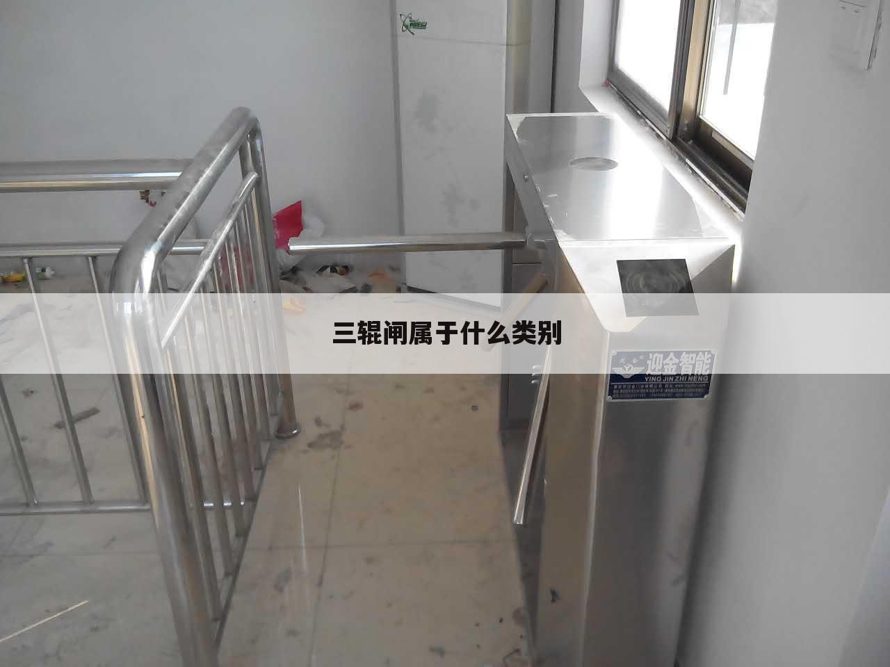 三辊闸属于什么类别
