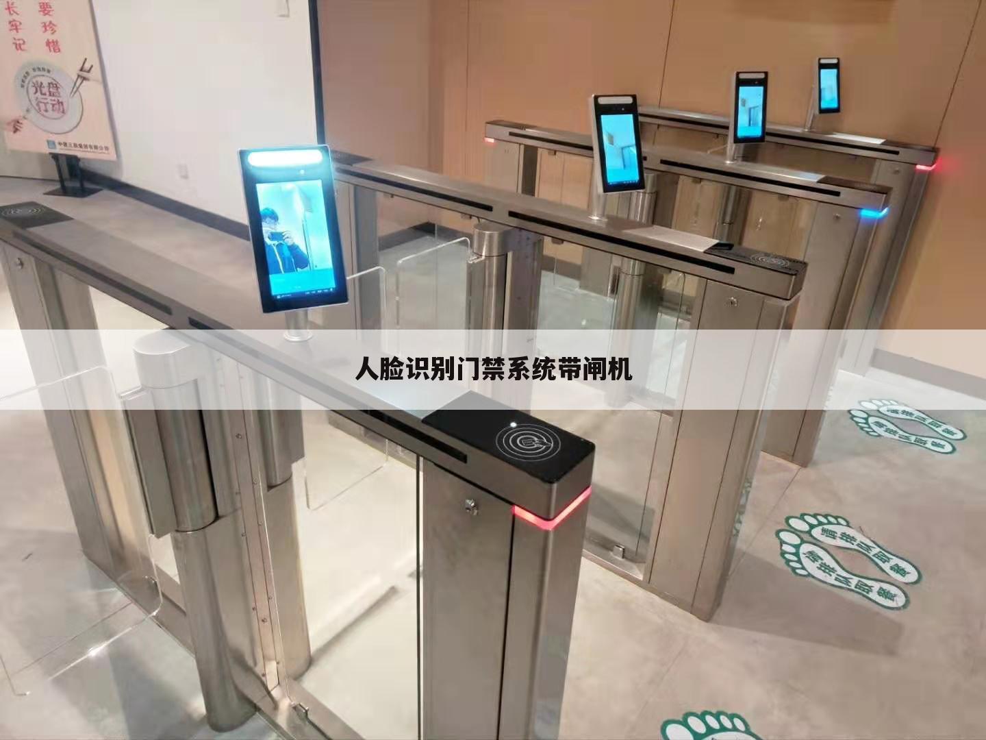 人脸识别门禁系统带闸机