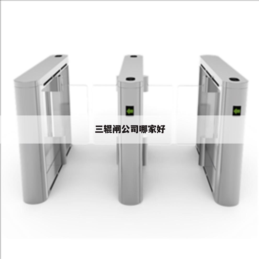 三辊闸公司哪家好
