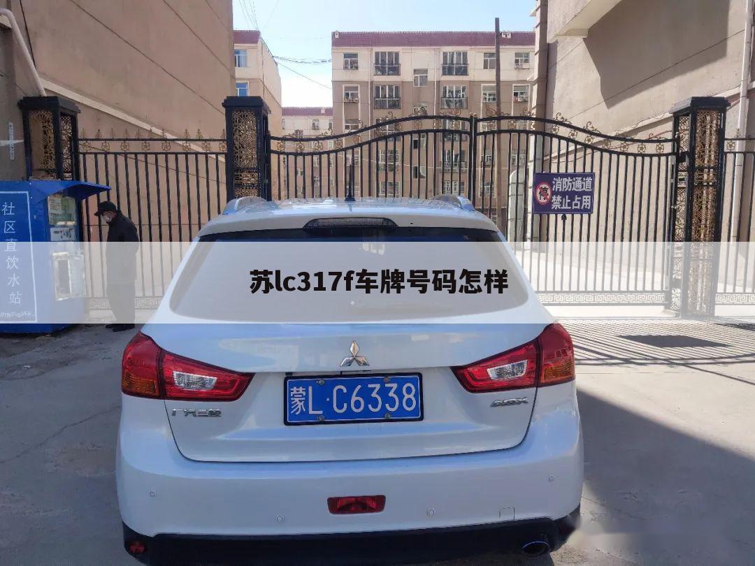 苏lc317f车牌号码怎样