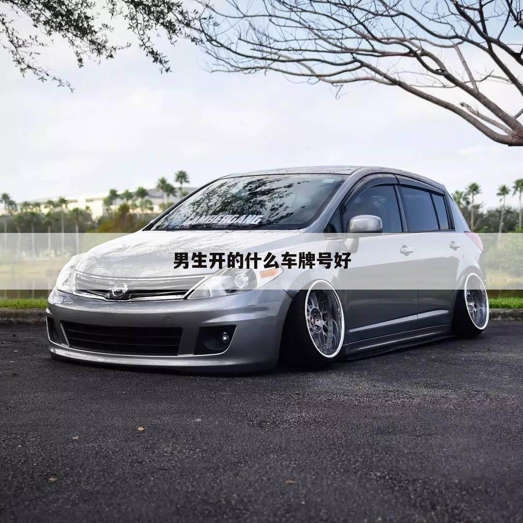 男生开的什么车牌号好