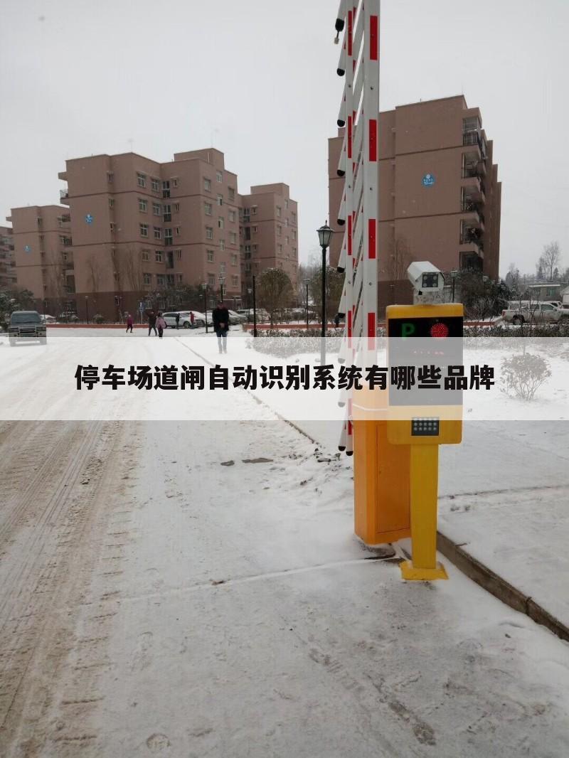 停车场道闸自动识别系统有哪些品牌