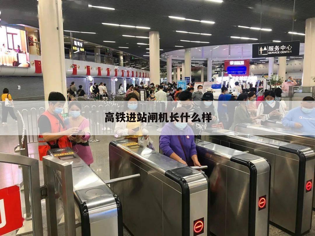 高铁进站闸机长什么样