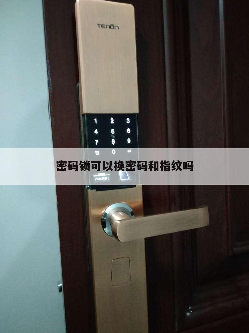 密码锁可以换密码和指纹吗