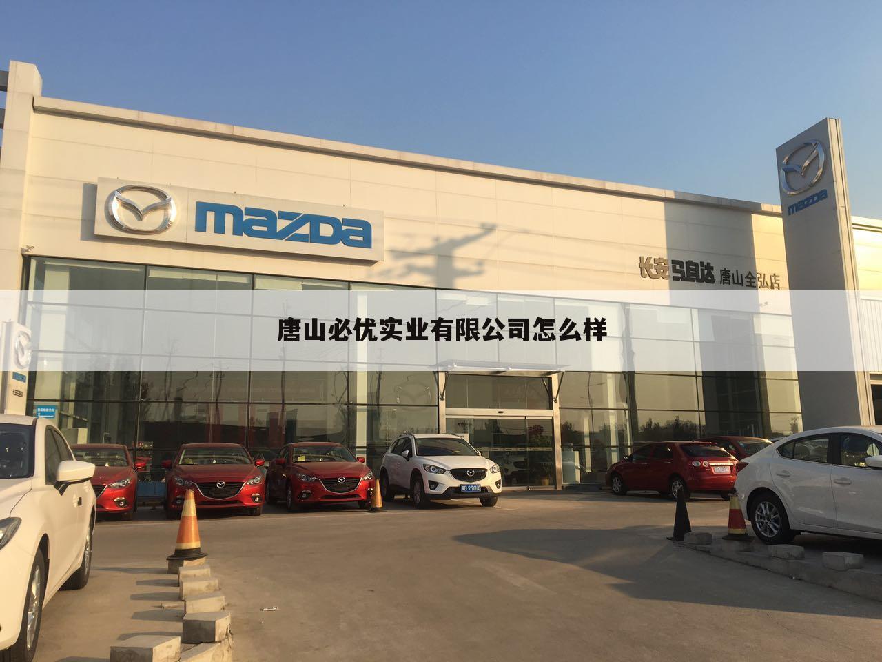 唐山必优实业有限公司怎么样