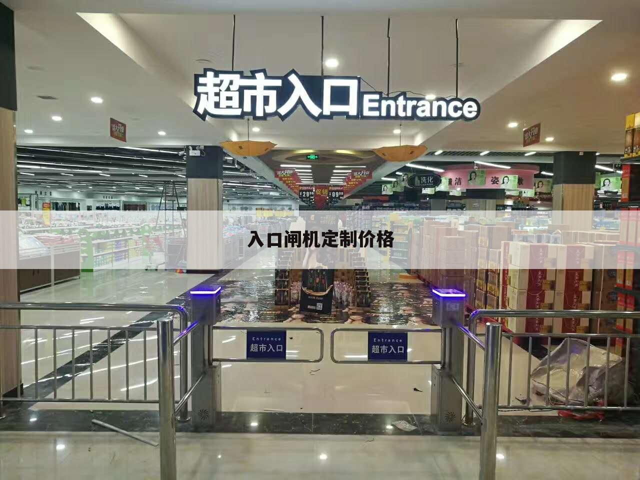 入口闸机定制价格