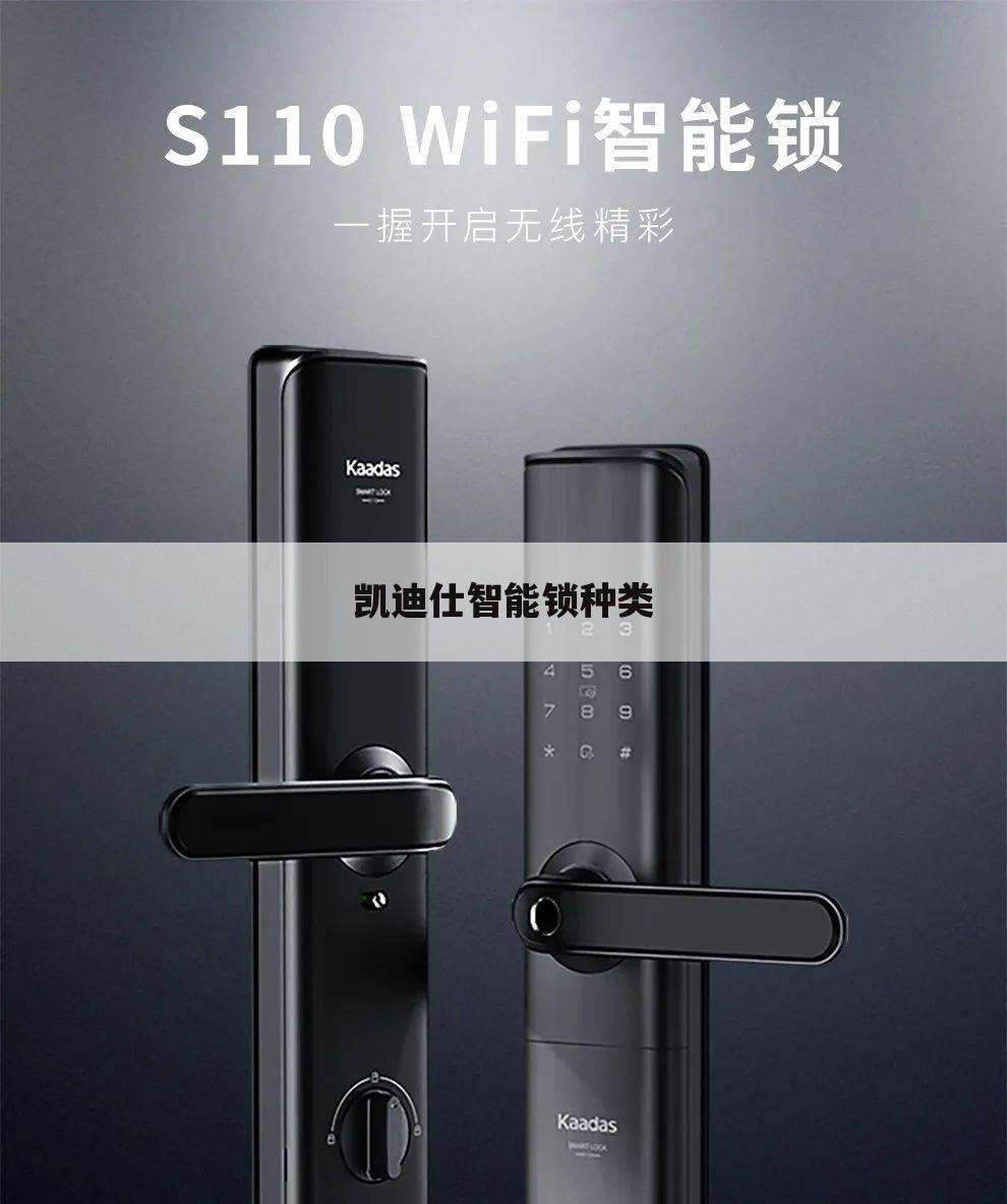 凯迪仕智能锁种类