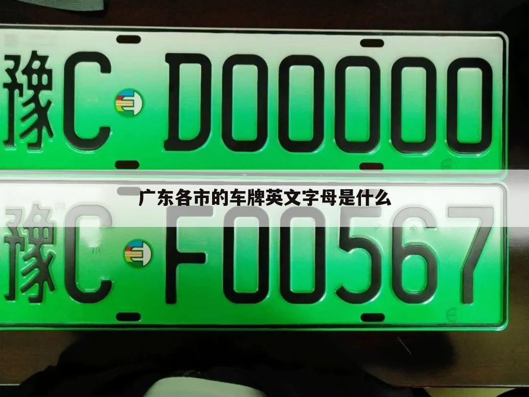 广东各市的车牌英文字母是什么