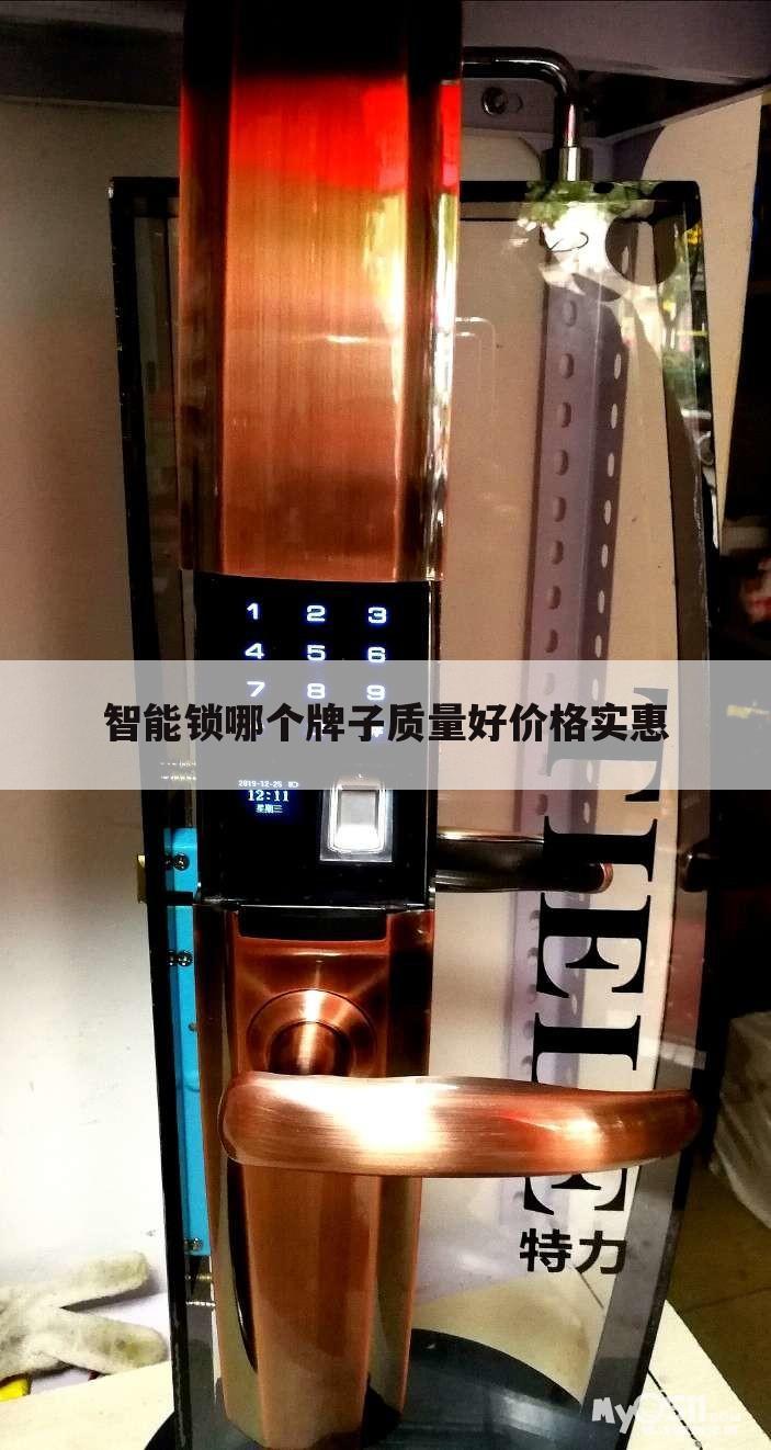 智能锁哪个牌子质量好价格实惠