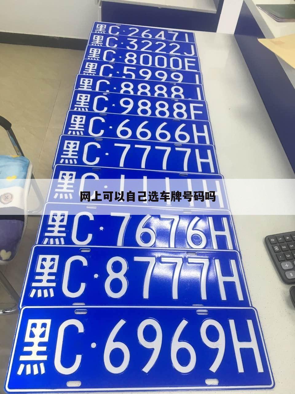 网上可以自己选车牌号码吗