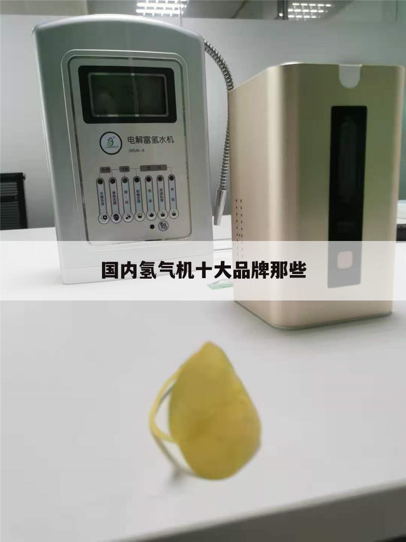 国内氢气机十大品牌那些