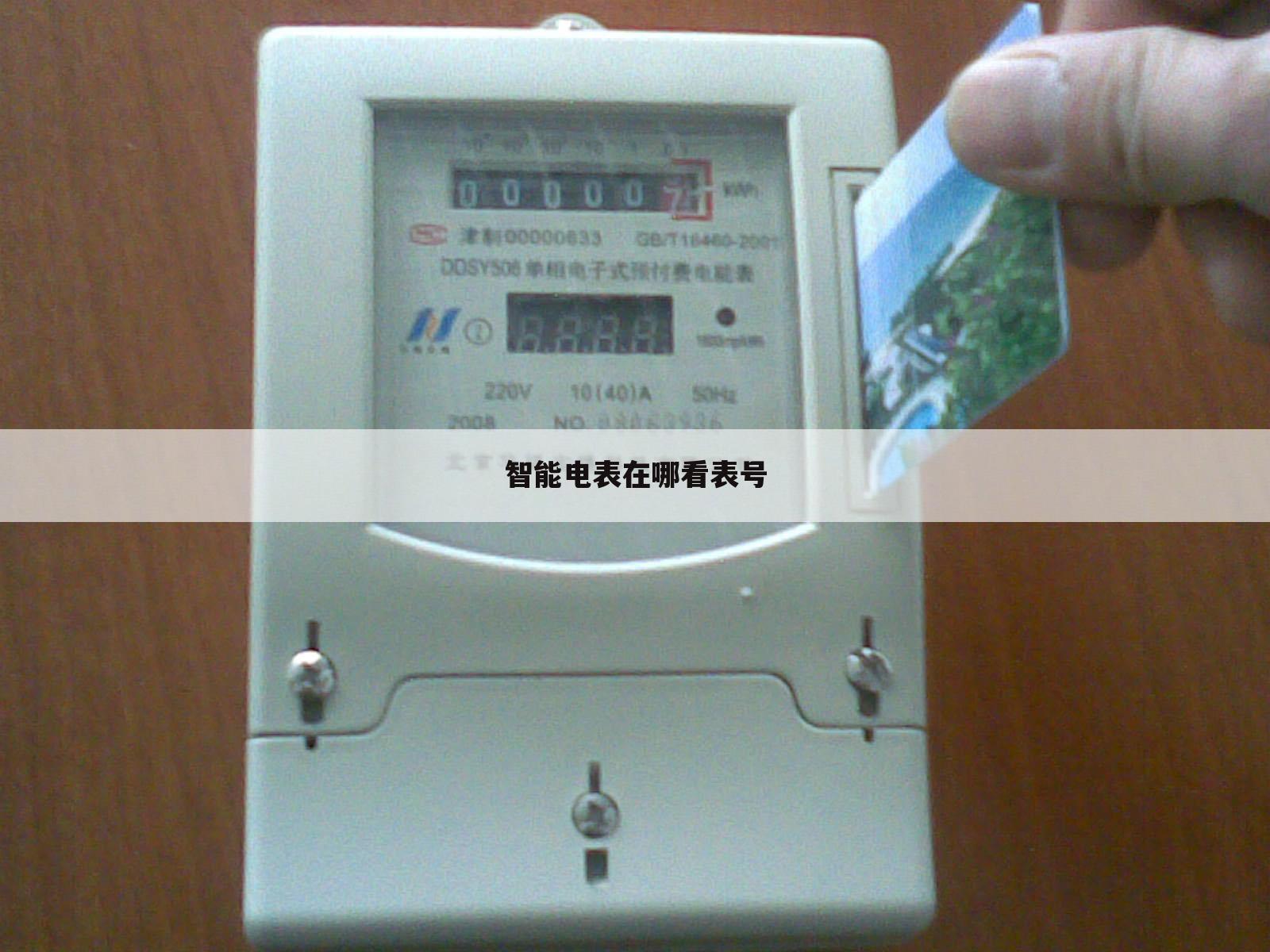 智能电表在哪看表号